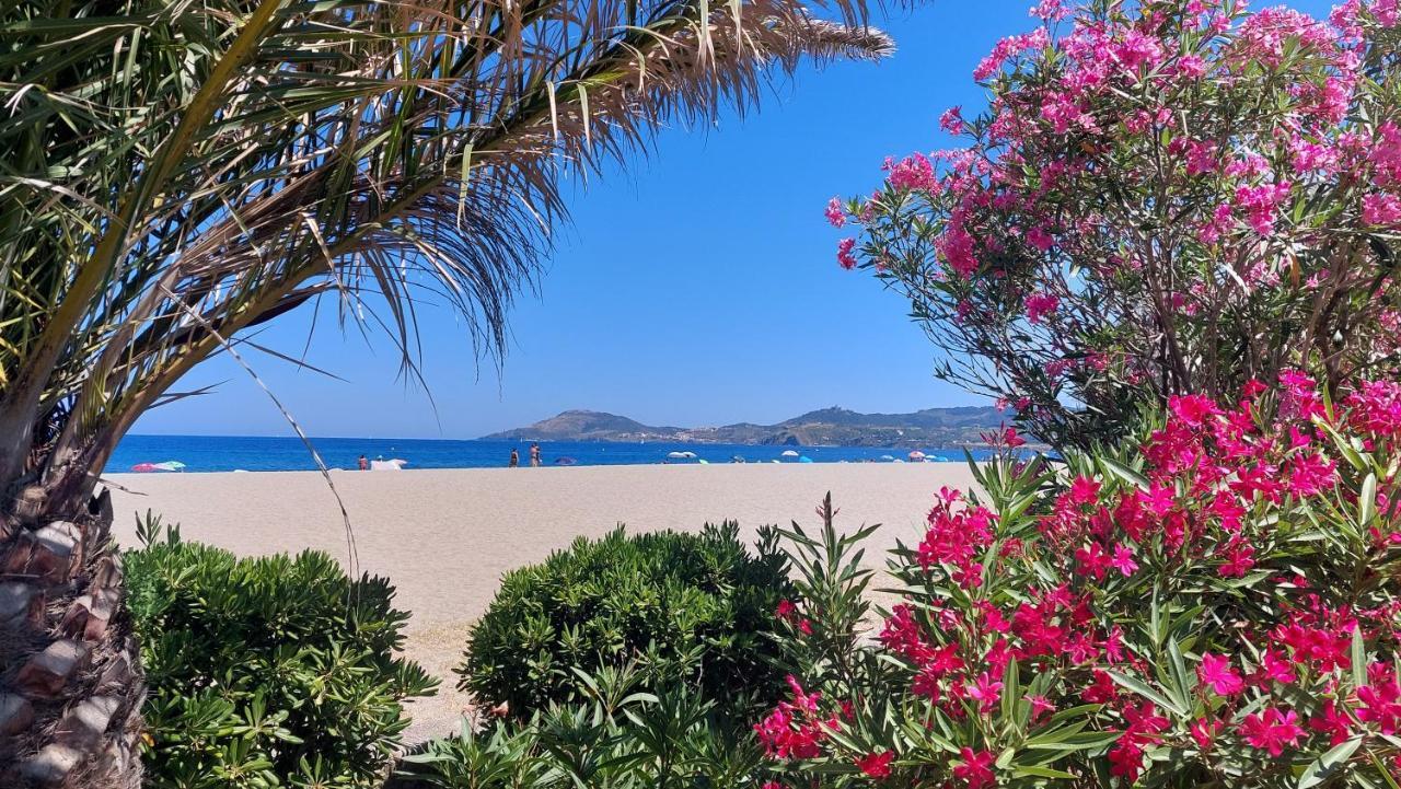 Sur La Plage, Super Avec Vue Sur La Apartment