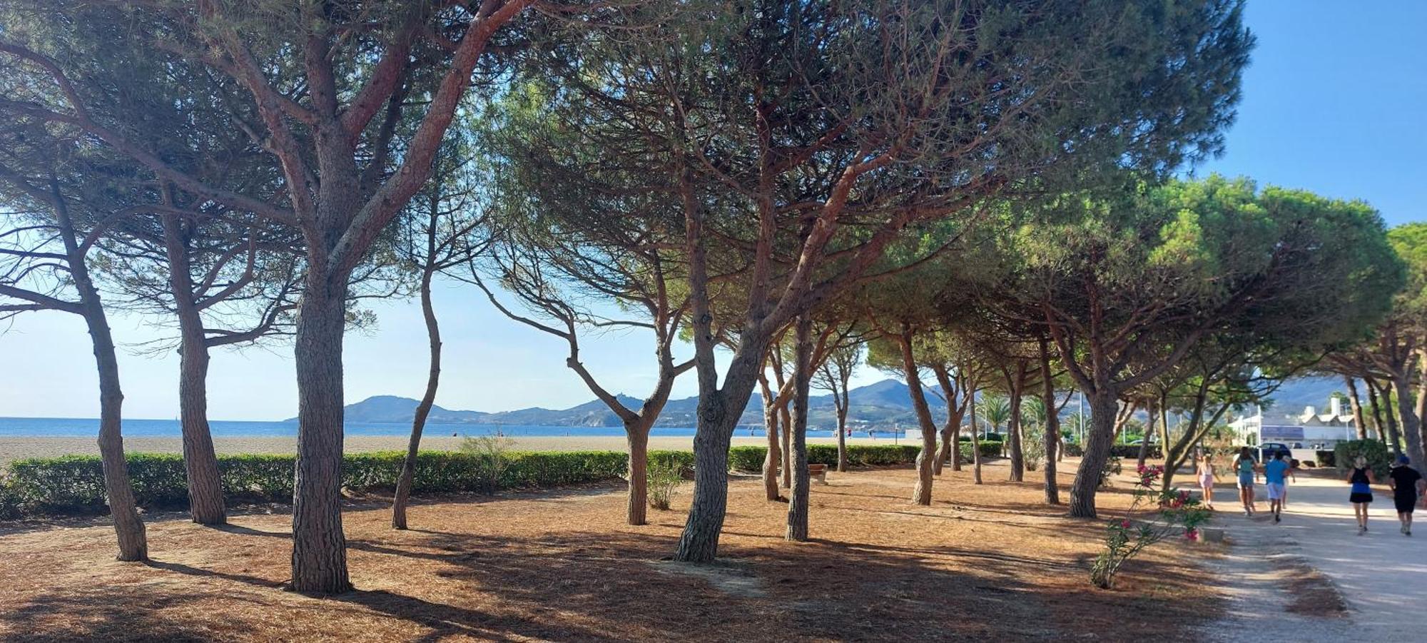 Apartment Sur La Plage, Super Avec Vue Sur La